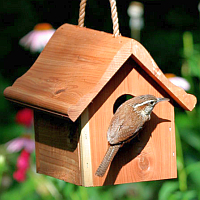 Wren/Chickadee Houses